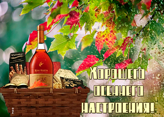 Картинка сиреневого настроения желаю вам