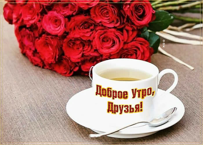 Открытка классная картинка друзьям с добрым утром