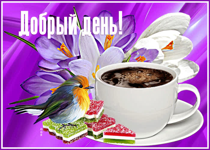 Picture классная открытка добрый день! с птичкой