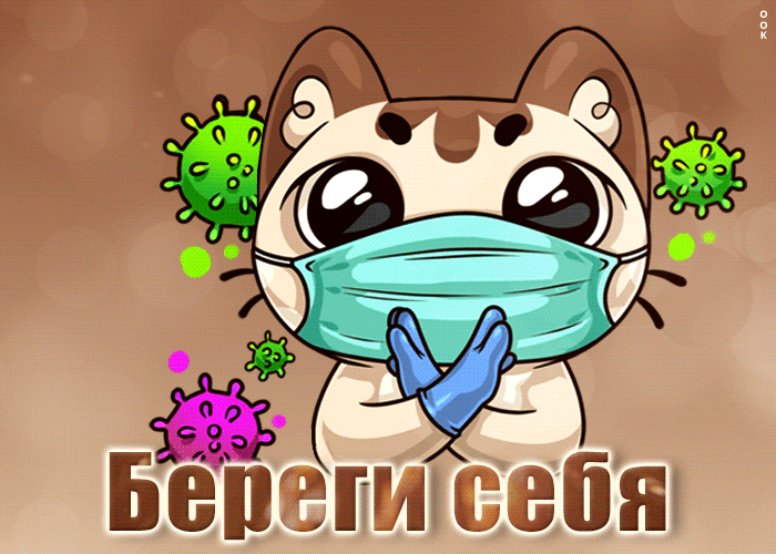 Picture классная открытка с кошкой береги себя