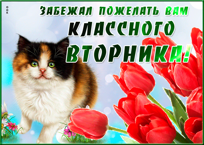 Картинка классная открытка с вторником