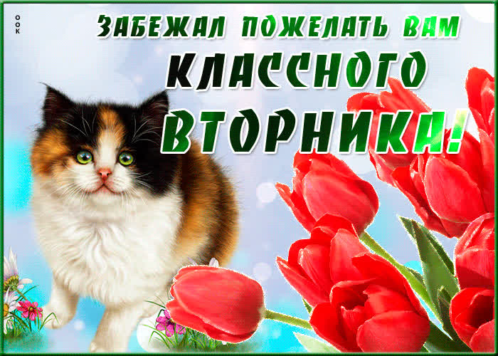 Картинка классная картинка с вторником