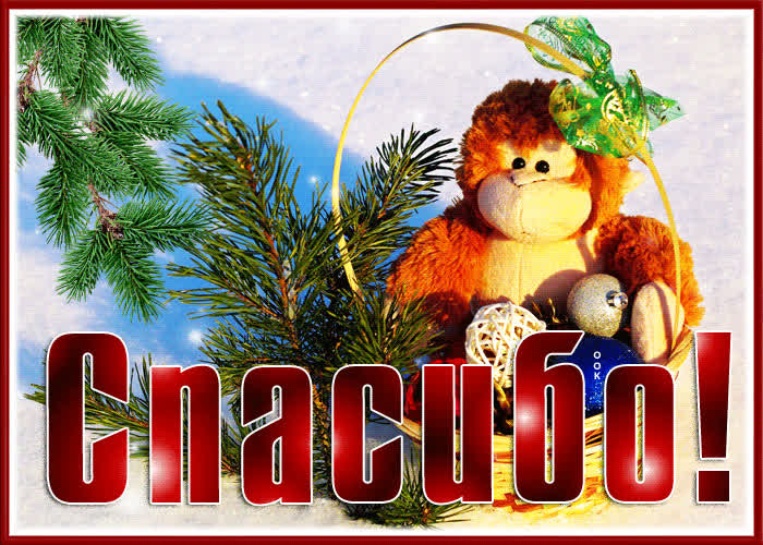 Картинка классная открытка спасибо с плюшевой игрушкой