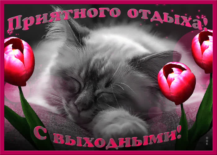 Картинка классных выходных!