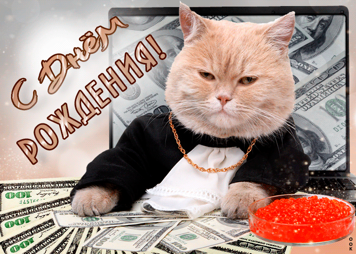 Postcard клевая открытка с котом и деньгами с днем рождения!