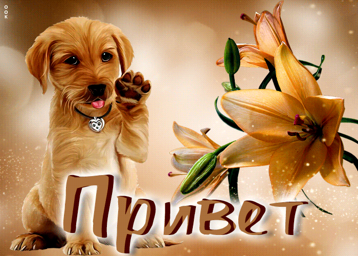 Picture клевая открытка с песиком и цветком привет