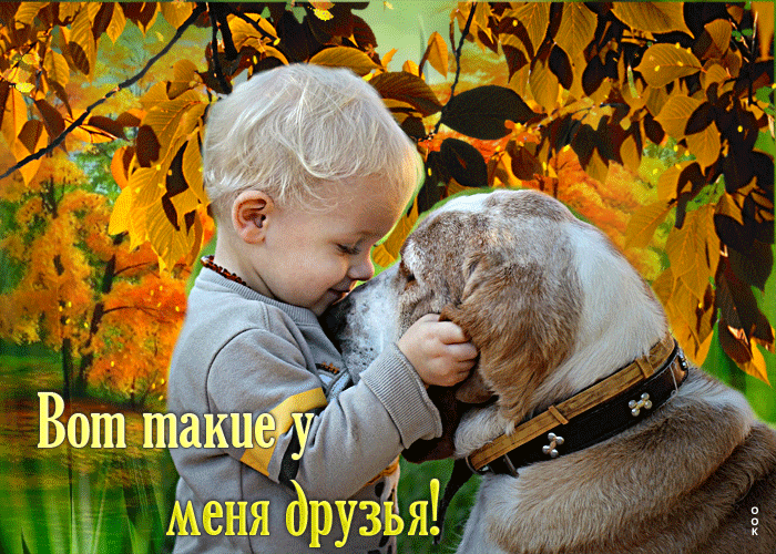 Postcard клевая открытка вот такие у меня друзья