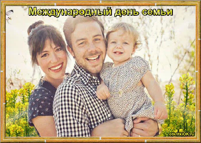 Картинка когда международный день семьи в году 15 мая