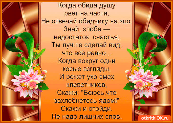 Картинка когда обида душу рвёт