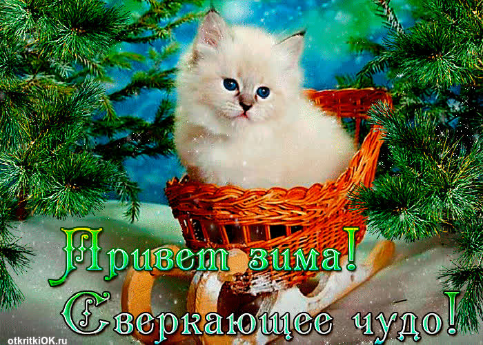 Картинка красивая картинка про зиму