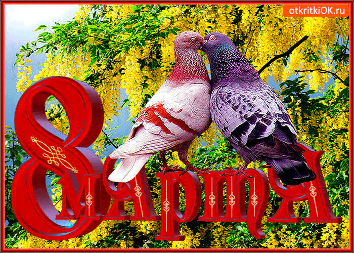 Картинка красивое поздравление с 8 марта