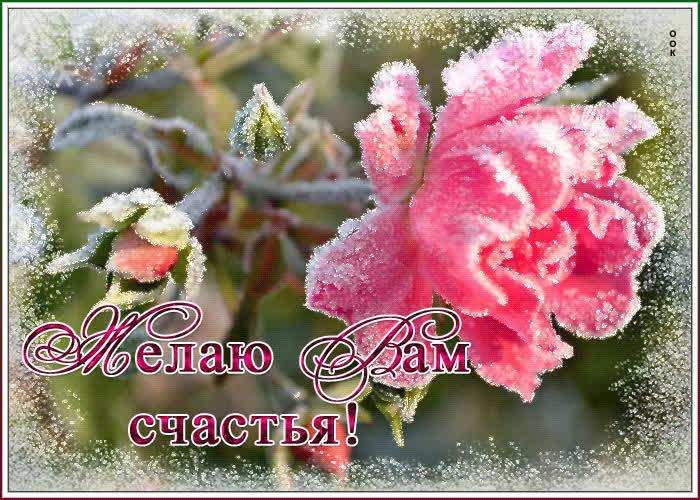 Картинка красивая гиф картинка