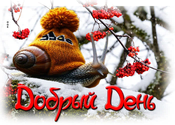 Postcard красивая гифка добрый день