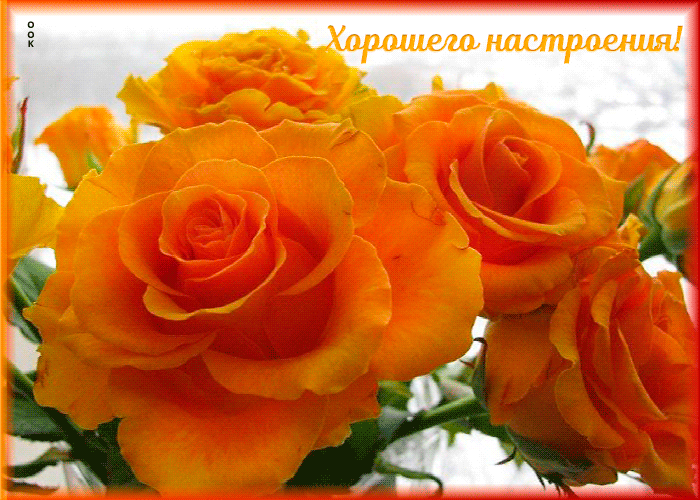 Открытка хорошего настроения
