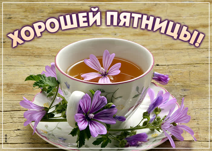 Открытка красивая картинка прекрасного пятничного дня