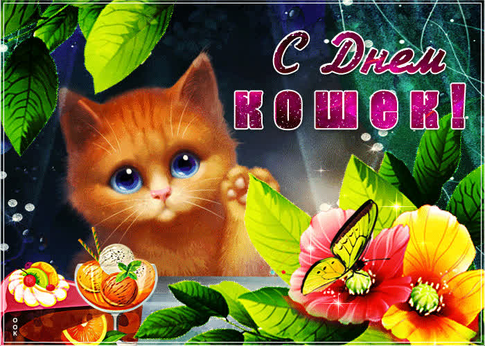 Картинка красивая картинка день кошек