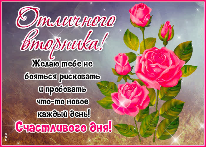 Postcard красивая открытка отличного вторника! счастливого дня!