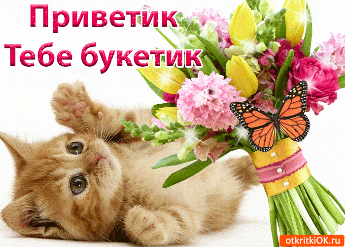 Картинка красивая открытка привет