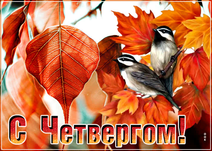 Открытка красивая открытка с четвергом