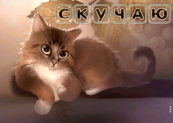 Postcard красивая открытка с кошечкой скучаю