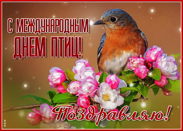 Открытка красивая открытка с международным днем птиц