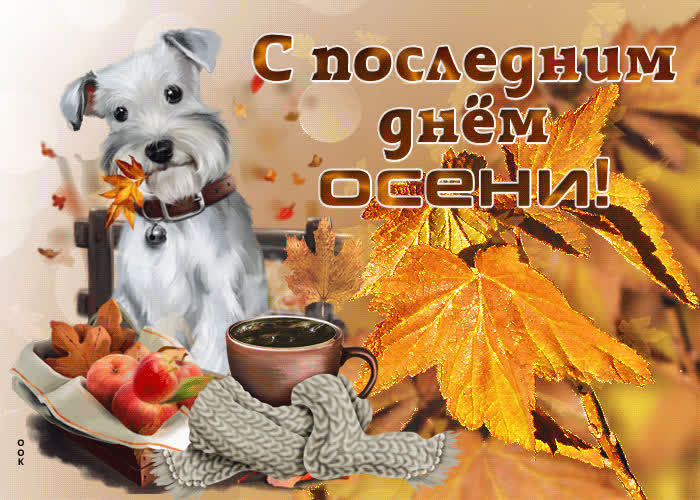 Картинка красивая картинка с последним днем осени