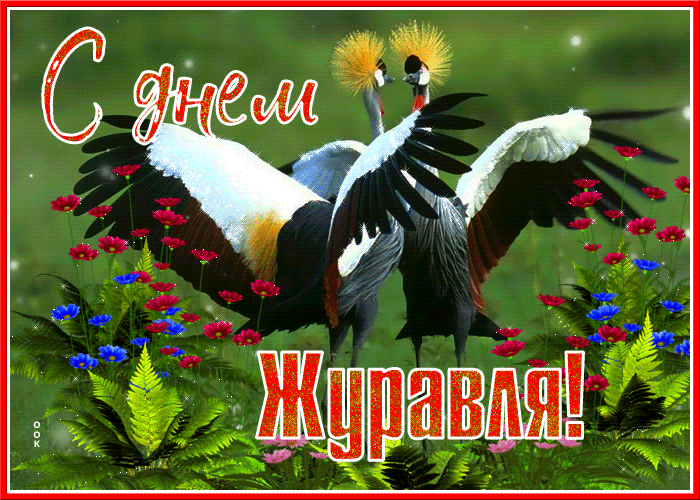 Открытка красивая открытка всемирный день журавля