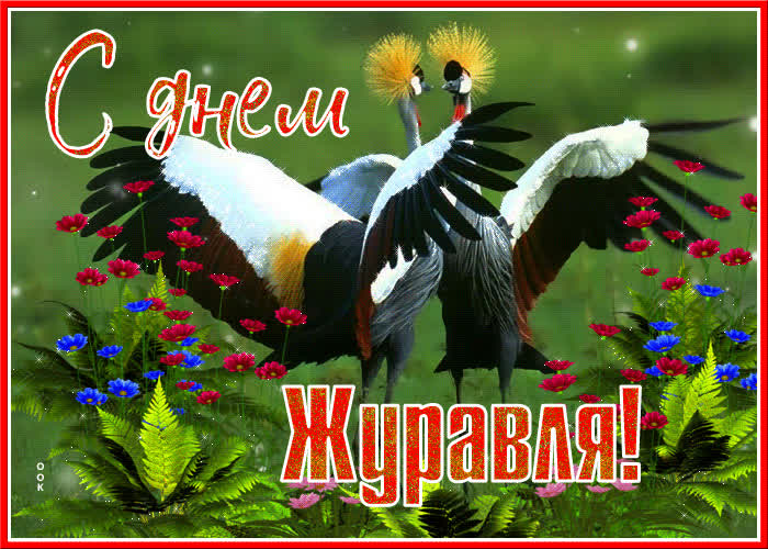 Открытка красивая открытка всемирный день журавля