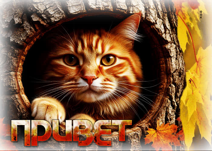 Picture красивая, уютная осенняя гифка привет