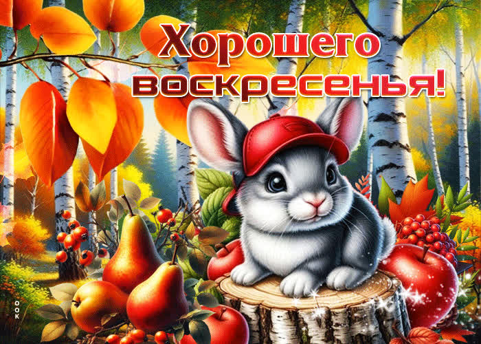 Picture красивая, волшебная осенняя гифка хорошего воскресенья