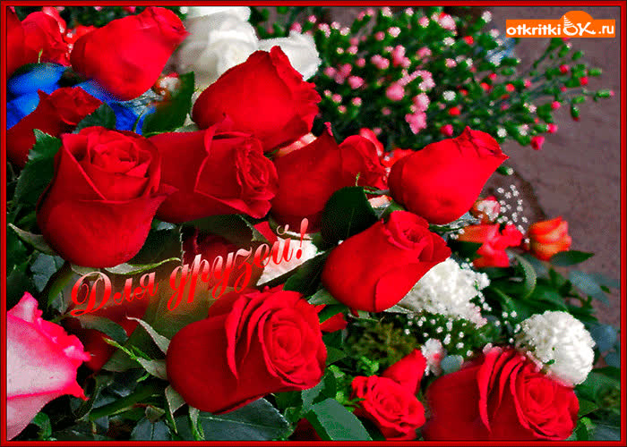 Картинка красивый букет друзьям