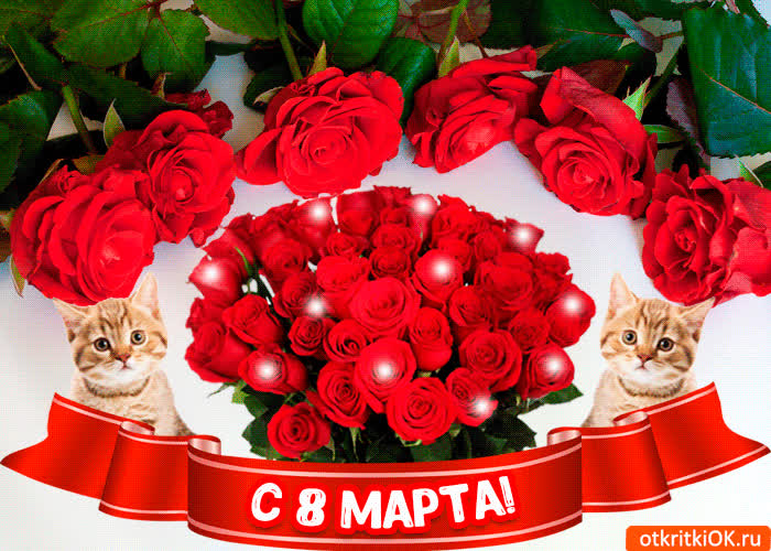Картинка красивое и прикольное поздравление на 8 марта