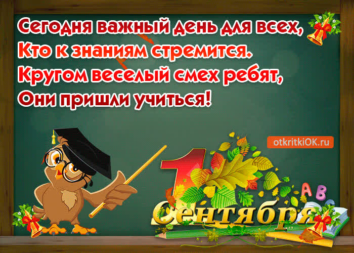 Картинка красивое поздравление с днём знаний