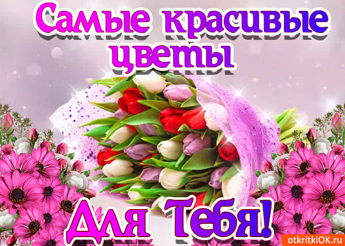 Картинка красивый букет тюльпанов