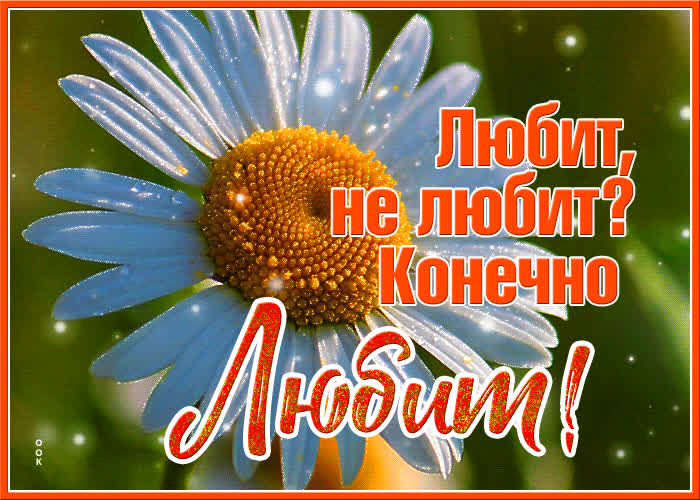 Картинка красивая картинка женщине