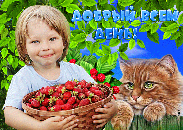 Picture красочная открытка добрый всем день! с клубничкой