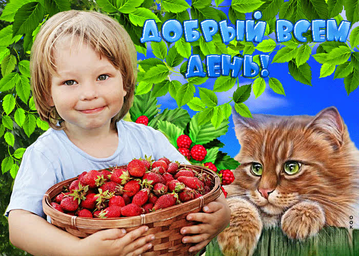 Picture красочная открытка добрый всем день! с клубничкой