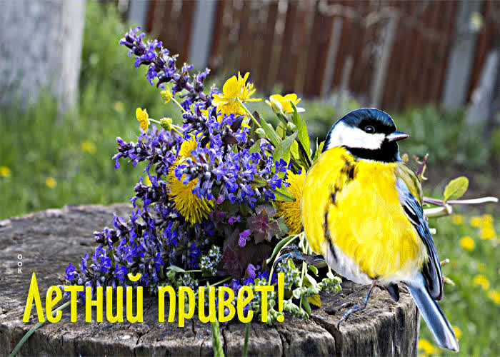 Picture красочная открытка с букетом летний привет!