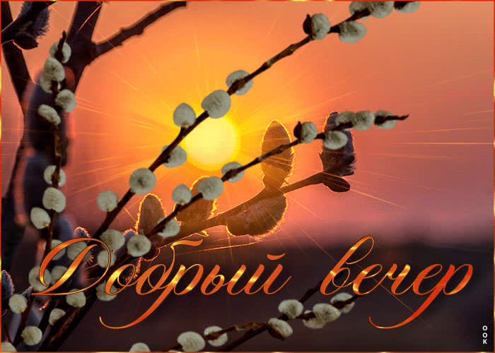 Picture крутая открытка с вербой добрый вечер
