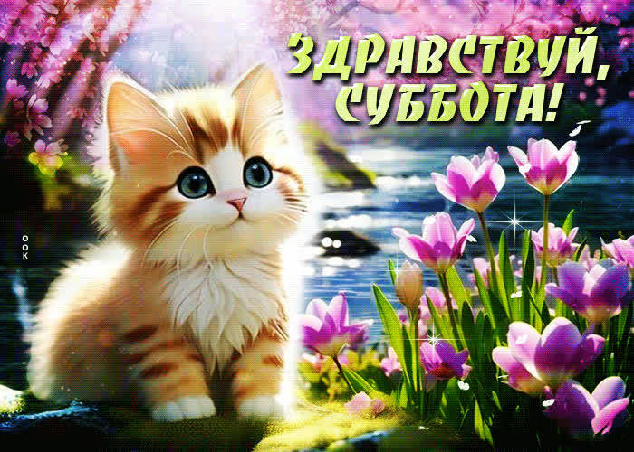 Picture ласковая и нежная гиф-открытка с котиком здравствуй, суббота