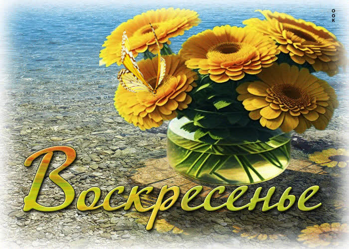 Picture ласковая и приветливая летняя гиф-открытка воскресенье