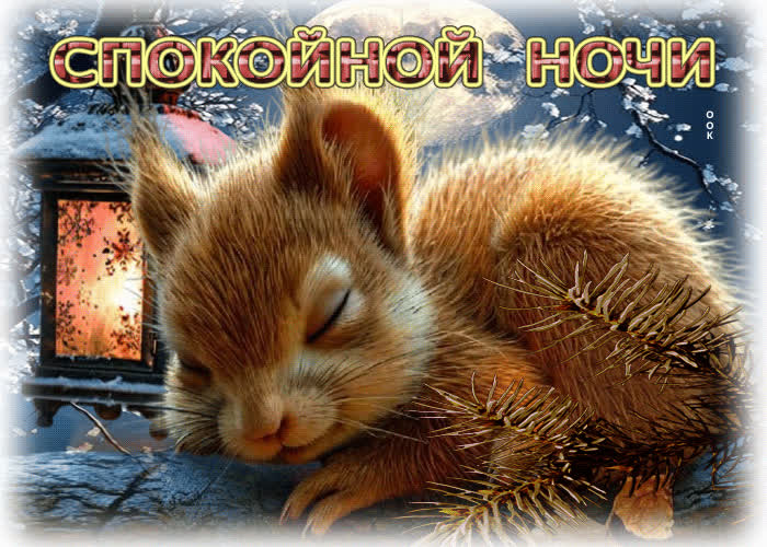 Postcard ласковая открытка с белочкой спокойной ночи