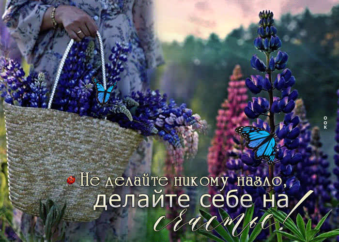 Postcard легкая открытка не делайте никому назло, делайте себе на счастье!