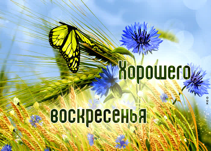 Picture легкая открытка с бабочкой хорошего воскресенья