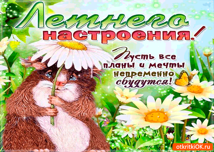 Картинка летнего настроения - пусть все планы и мечты сбудутся