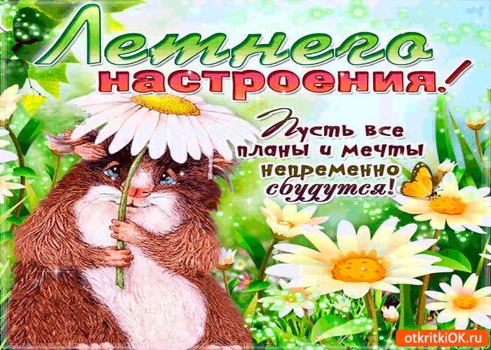 Картинка летнего настроения - пусть все планы и мечты сбудутся