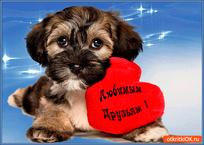 Открытка любимым и верным друзьям