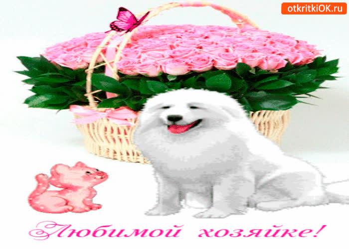 Картинка любимой хозяйке