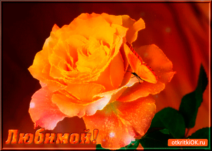 Картинка любимой подруге