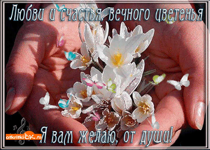 Картинка любовь и счастья